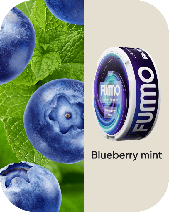 Blueberry mint