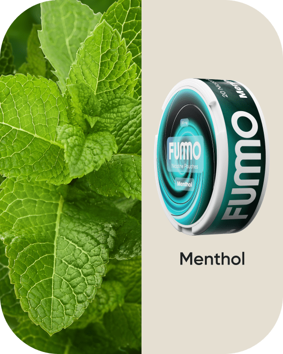 Menthol