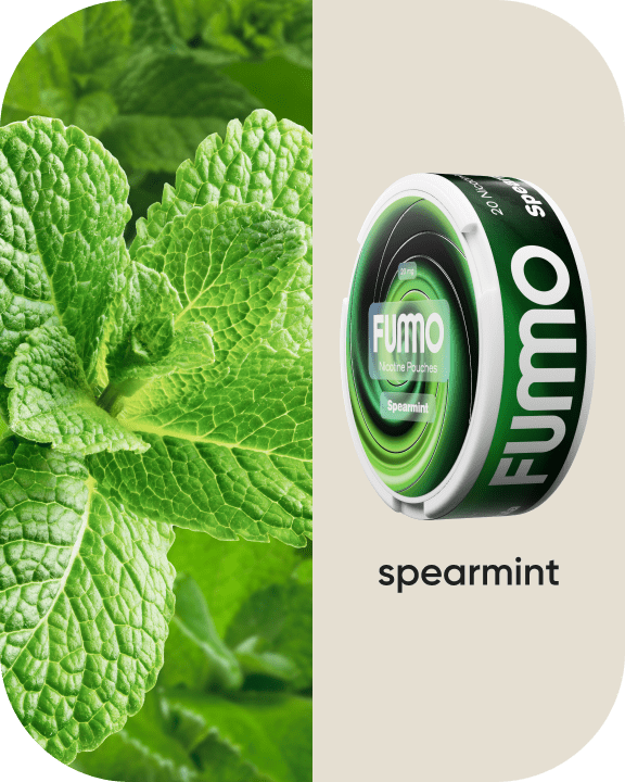 Spearmint